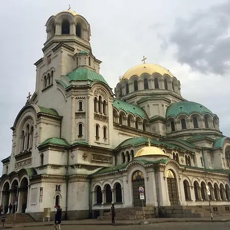 Center Brand New 4 Sofia